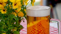 pivo beer